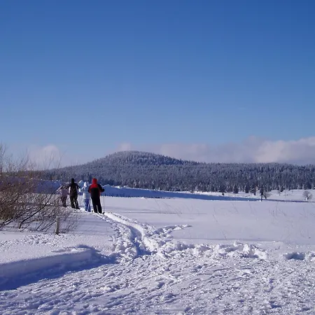 Pensjonat Schneeberg Boží Dar
