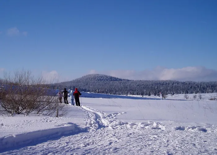 Pensionat Schneeberg Boží Dar